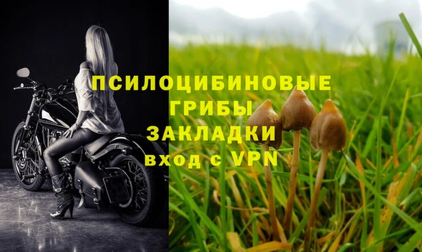 ALPHA PVP Балахна