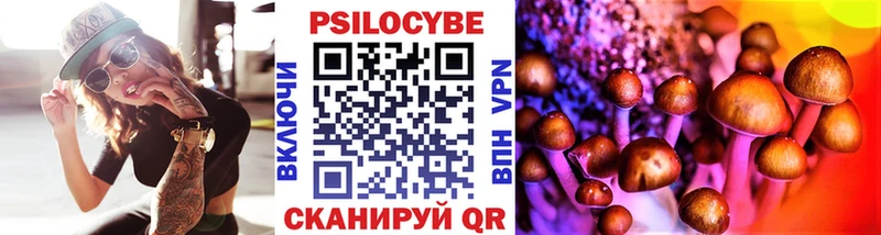 Галлюциногенные грибы MAGIC MUSHROOMS  Циолковский 